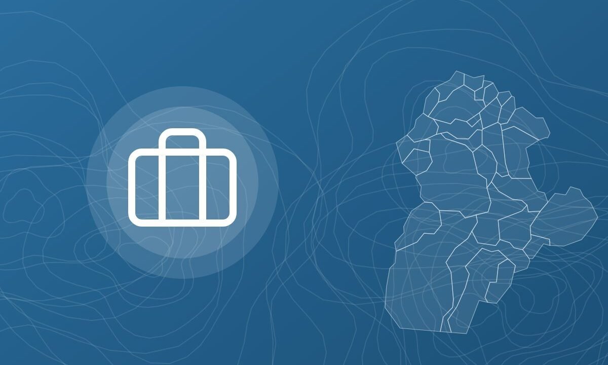 Consultoría y asistencia técnica