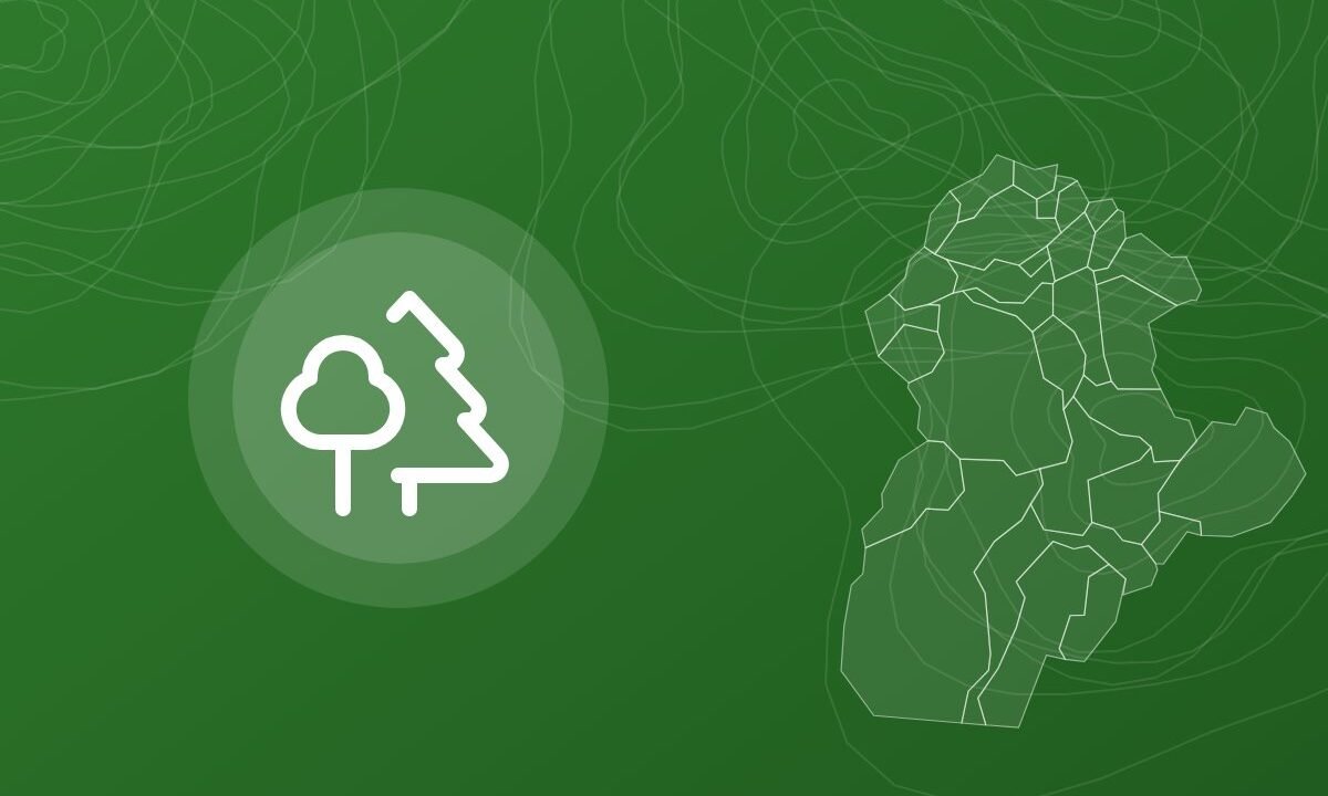 Gestión ambiental